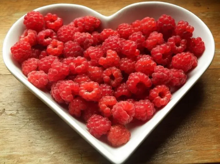 Des aliments qui nettoient naturellement 66