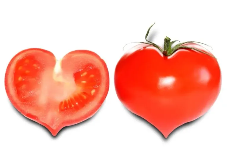 Des aliments qui nettoient naturellement 69
