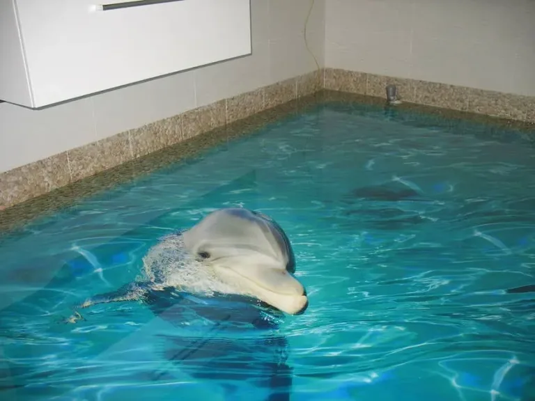 Salle de bains 3d 3