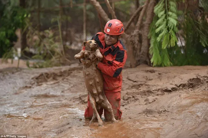 120915-la-pire-catastrophe-humanitaire-et-environnementale-9
