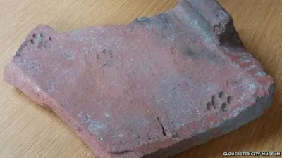 Une empreinte de chat retrouvée sur la tuile d’un toit antique.