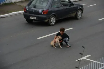 Cet Enfant se Jette dans le Trafic Pour Sauver un Petit Chien Blessé
