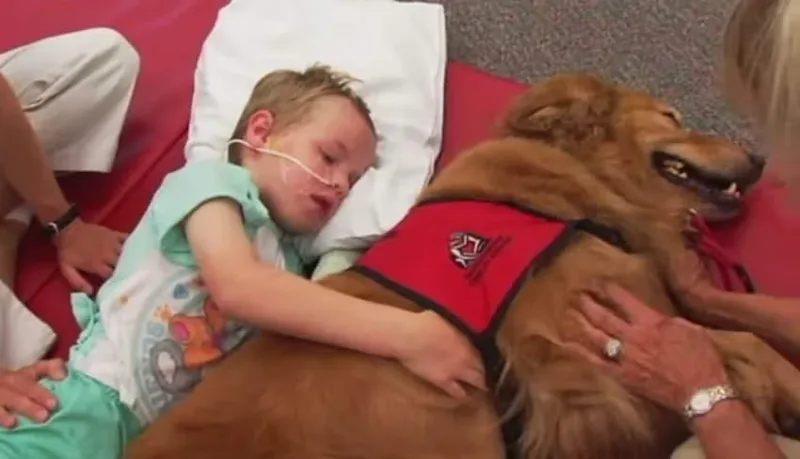 Ils ont présenté leur enfant, presque «sans vie», à un chien. Et, un véritable miracle s’est produit !