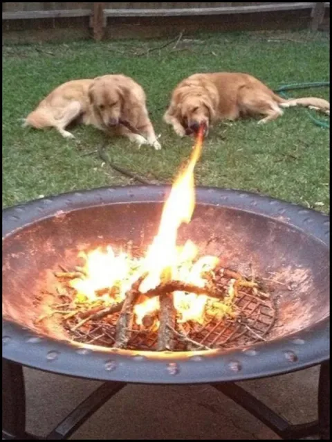 Timing27