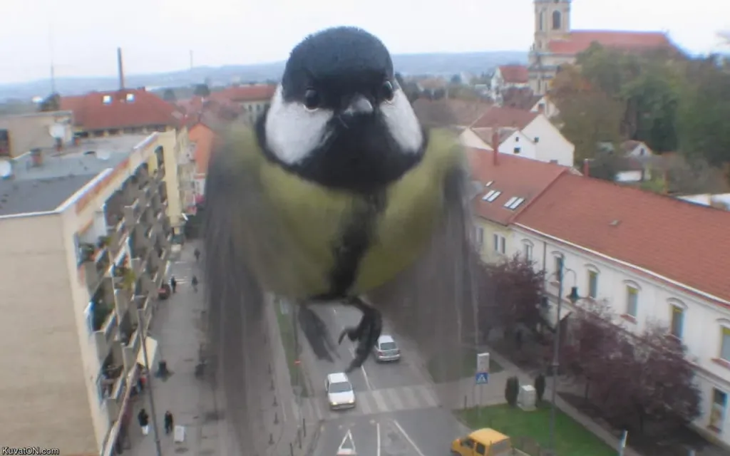 Timing28