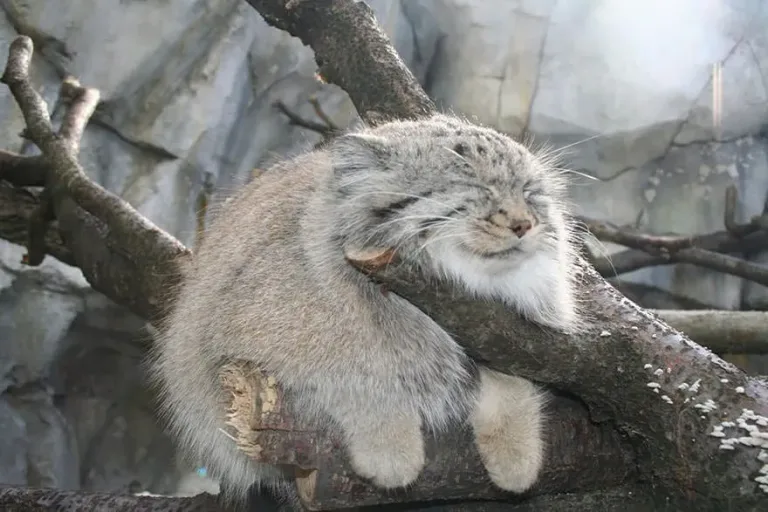137