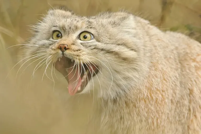 164