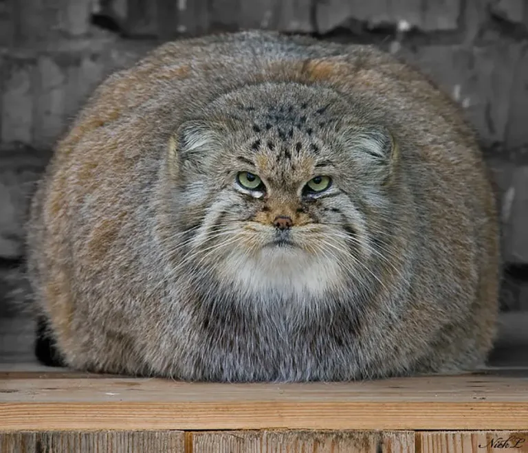 174