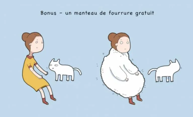 10 avantages davoir un chat 10