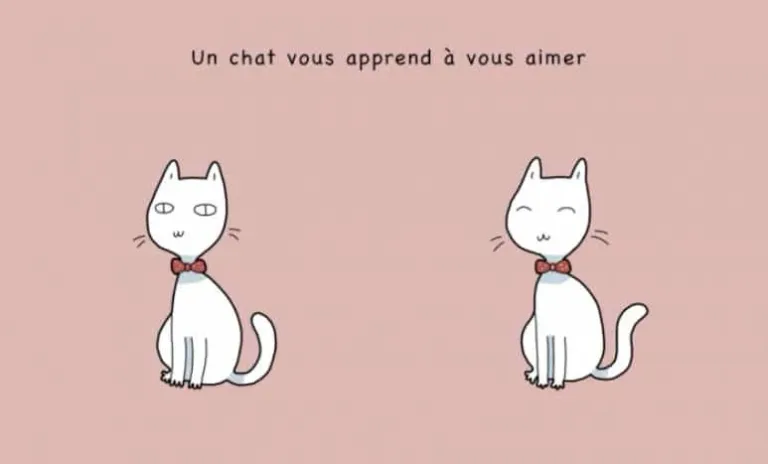 10 avantages davoir un chat 08