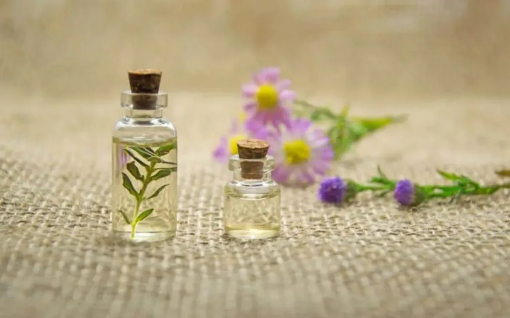 Les 11 antibiotiques naturels les 12