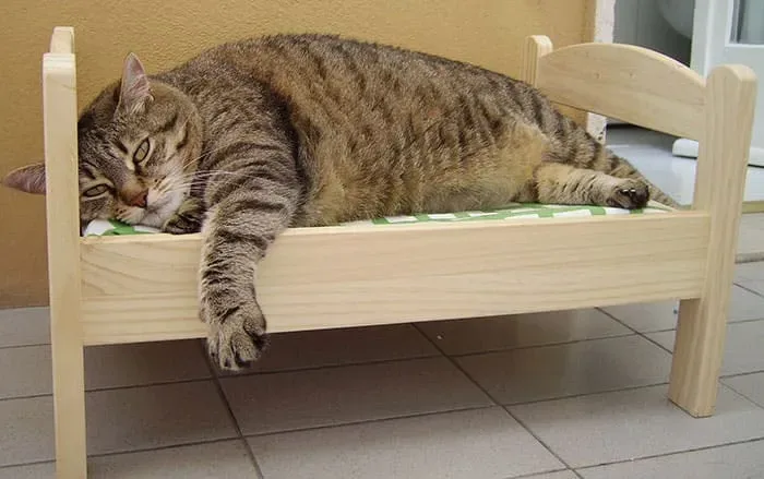 Lit ikea pour chat 5