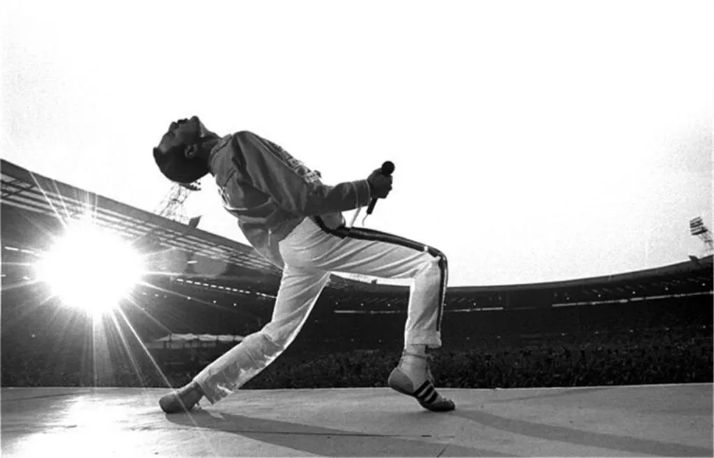 Lultime photo de freddie mercury 26