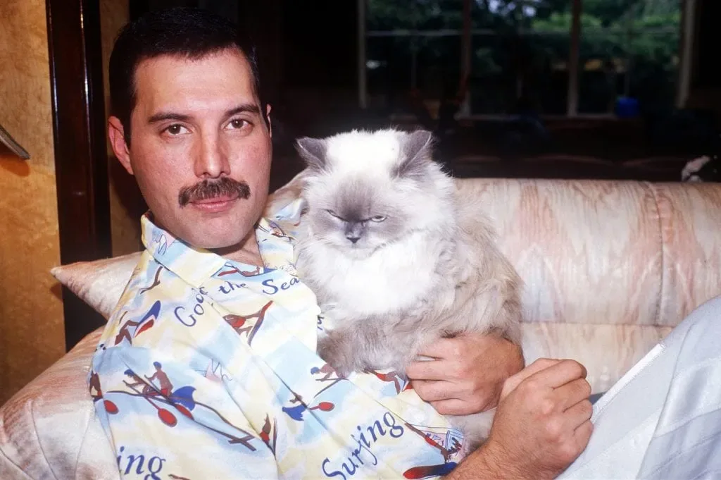 Lultime photo de freddie mercury 27