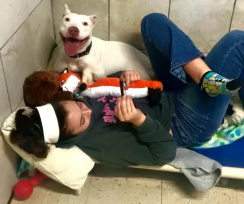 Unleashed Pet Rescue and Adoption