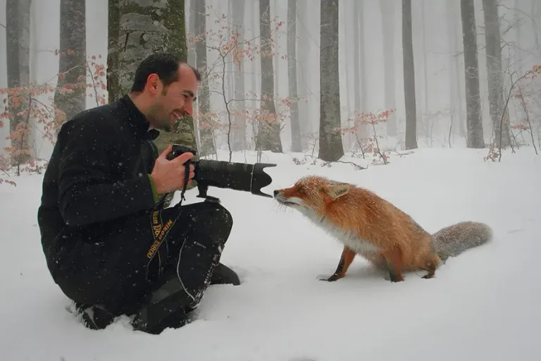 Fox202
