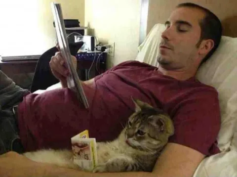Meme les amateurs de chats 08