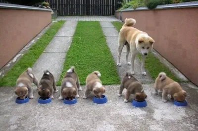 Il n’y a rien de plus adorable que ces mères fières de leur progéniture !