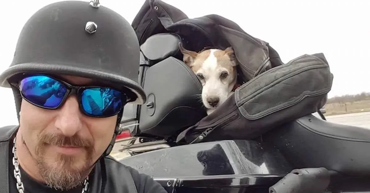 Un fou commence à battre un chien sur le côté de la route. Maintenant regardez ce que fait ce motard.