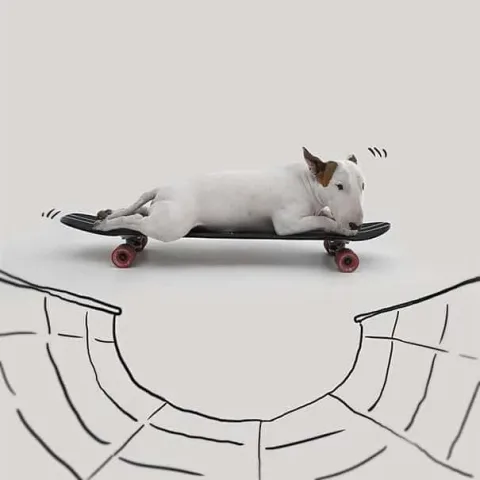 149