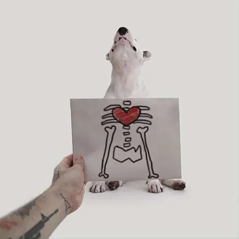 185