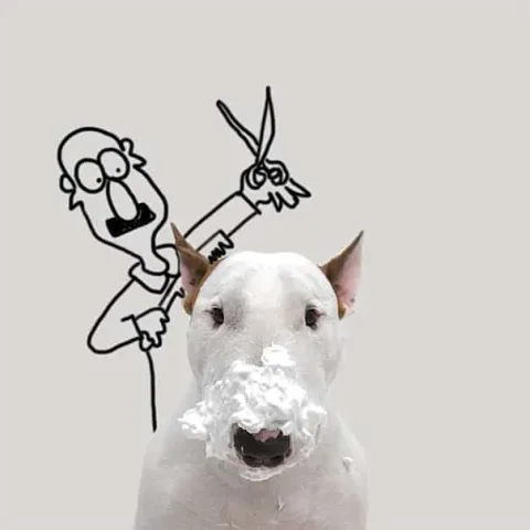 194