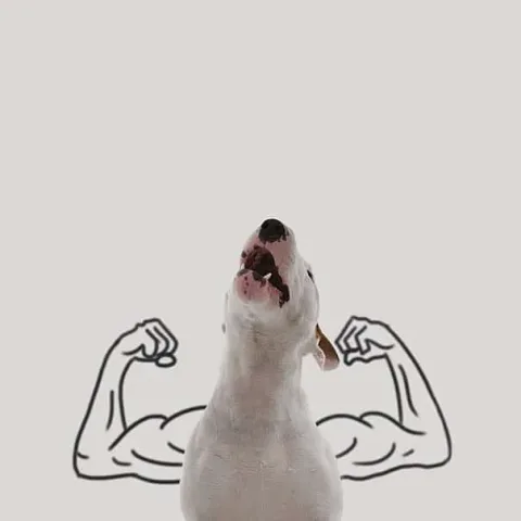 204