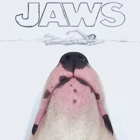 1017