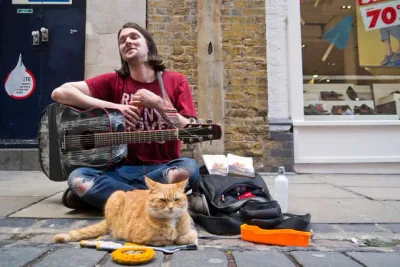 Quand ce musicien sans-abri sauve ce chat errant, il ne sait pas encore que ce dernier va changer sa vie…