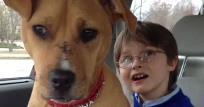 Quand ces gens ont adopté un chien battu pour leur fils autiste, ils ignoraient que leurs vies seraient changées à jamais
