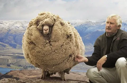 modern farmer