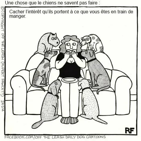 Pensee des chiens 2