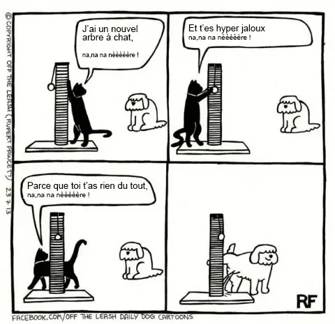 Pensee des chiens 14