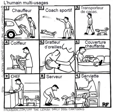 Pensee des chiens 15