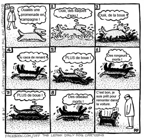 Pensee des chiens 6
