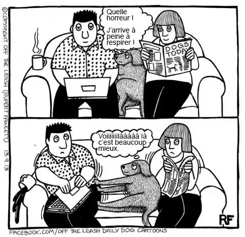 Pensee des chiens 10