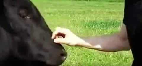 1107