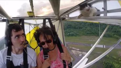 Un chat est découvert coincé dans l’aile d’un ULM…