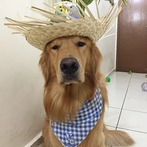 193