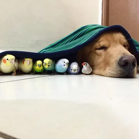 414