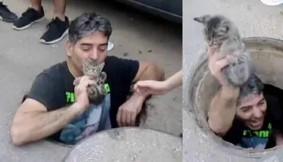 Un Homme Héroïque Saute dans un Collecteur d’Eau pour Sauver un Chaton