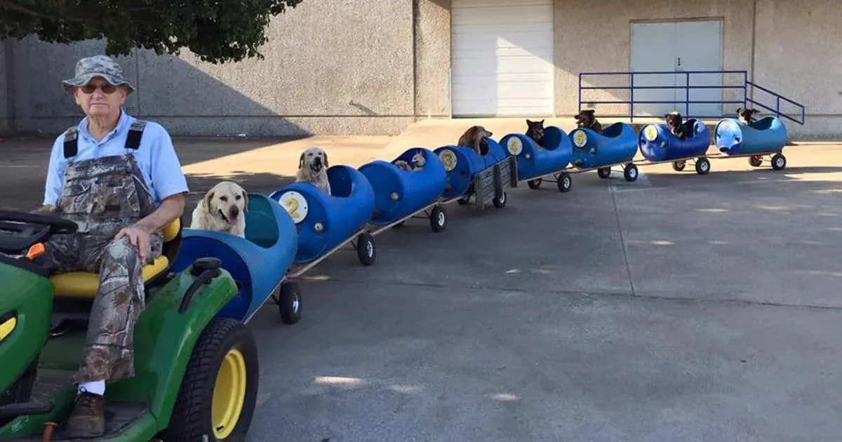 Un retraité de 80 ans construit un train pour promener des chiens abandonnés qu’il a adoptés.