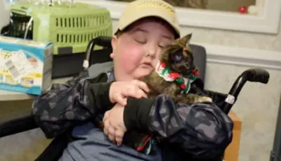 Une chatte de refuge a réalisé le rêve d’un enfant malade. Maintenant ils sont Inséparables!