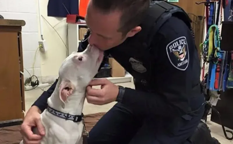 Une chienne couvre son sauveur de bisous quelques moments après avoir perdu la patte dans un accident de train