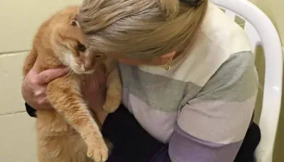 Une dame adopte un chat senior, et retourne au refuge pour adopter également son vieil ami