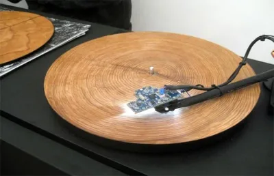Voilà ce que l’on entend lorsque l’on place les anneaux de croissance d’un arbre sur un tourne-disque.