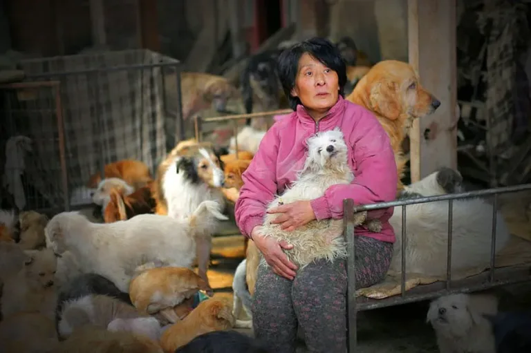 Une femme parcourt 2650 km en chine 02