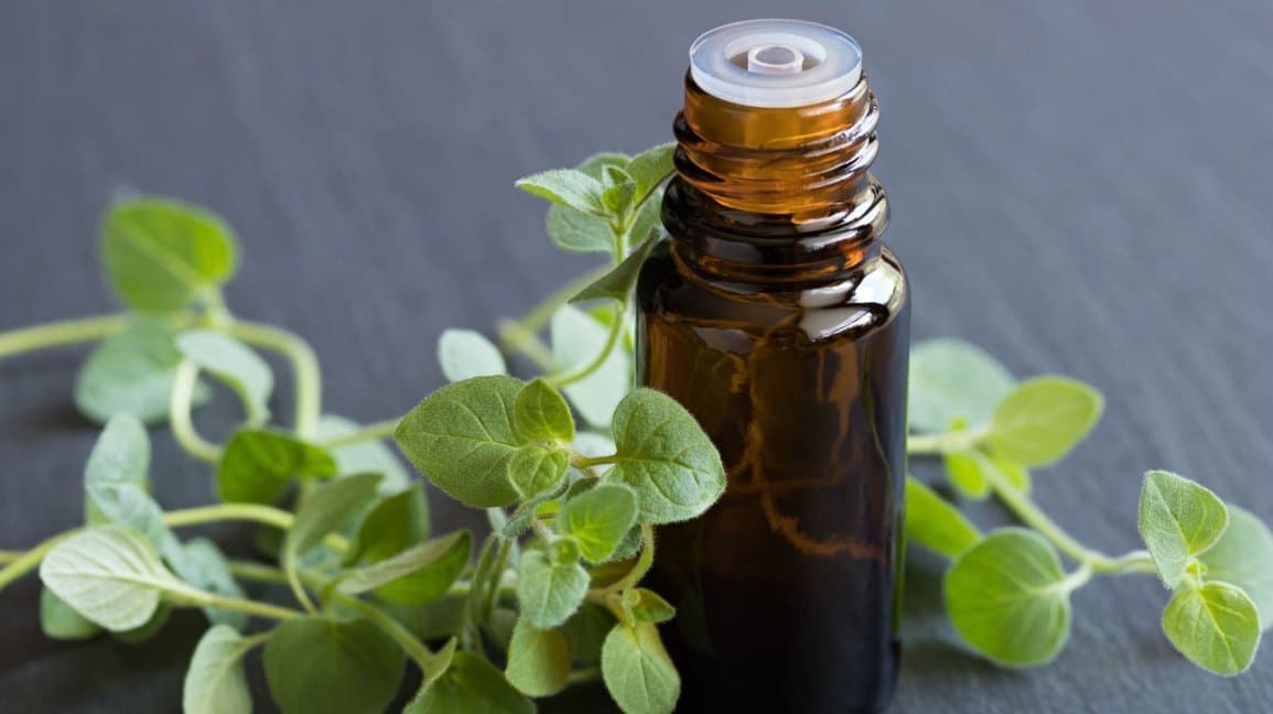 Les 11 antibiotiques naturels les 02v2