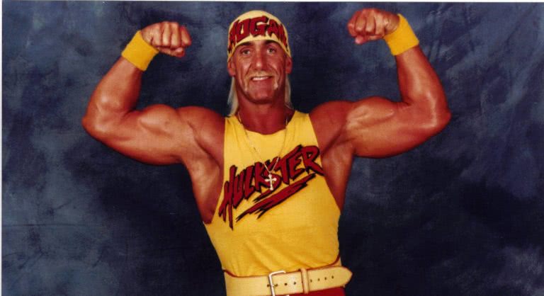 hulk hogan v2