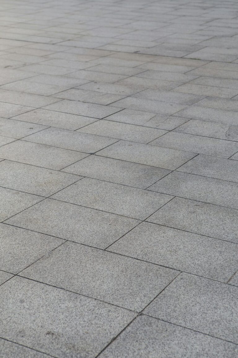 Dernière chance avant les pluies : installez ces pavés perméables pour un jardin sec tout l'été